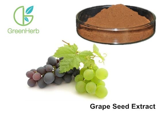 Polifenoles puros del extracto el 95% de la semilla de uva del cuidado sano antis - oxidante para la piel