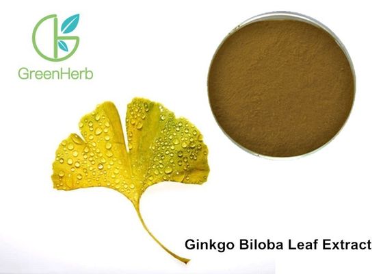 Flavonoides del Ginkgo de la fuente de la fábrica, lactonas del terpeno, polvo del extracto de Biloba del Ginkgo