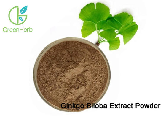 El polvo natural del extracto de la hoja de Biloba del Ginkgo del 100% dilata los vasos sanguíneos