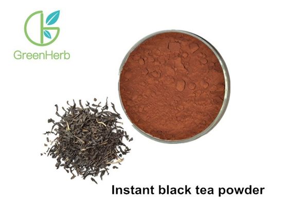 Polvo inmediato del extracto del té negro del polvo del té negro de Sinensis de la camelia