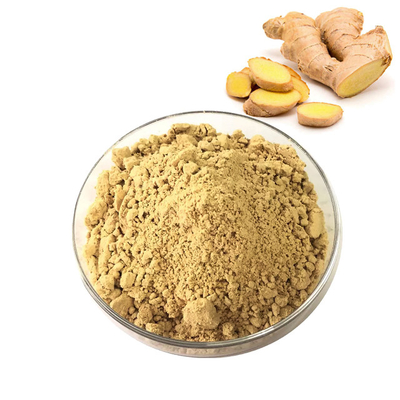 El 20% Gingerols Ginger Extract Ginger Root Extract Ginger Extract Powder