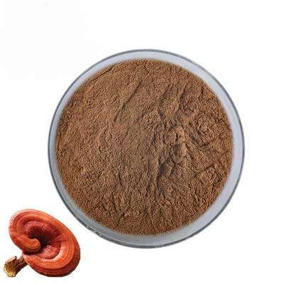 La espora roja de Lucidum de la seta de Reishi pulveriza el 50% puro en campo de la comida